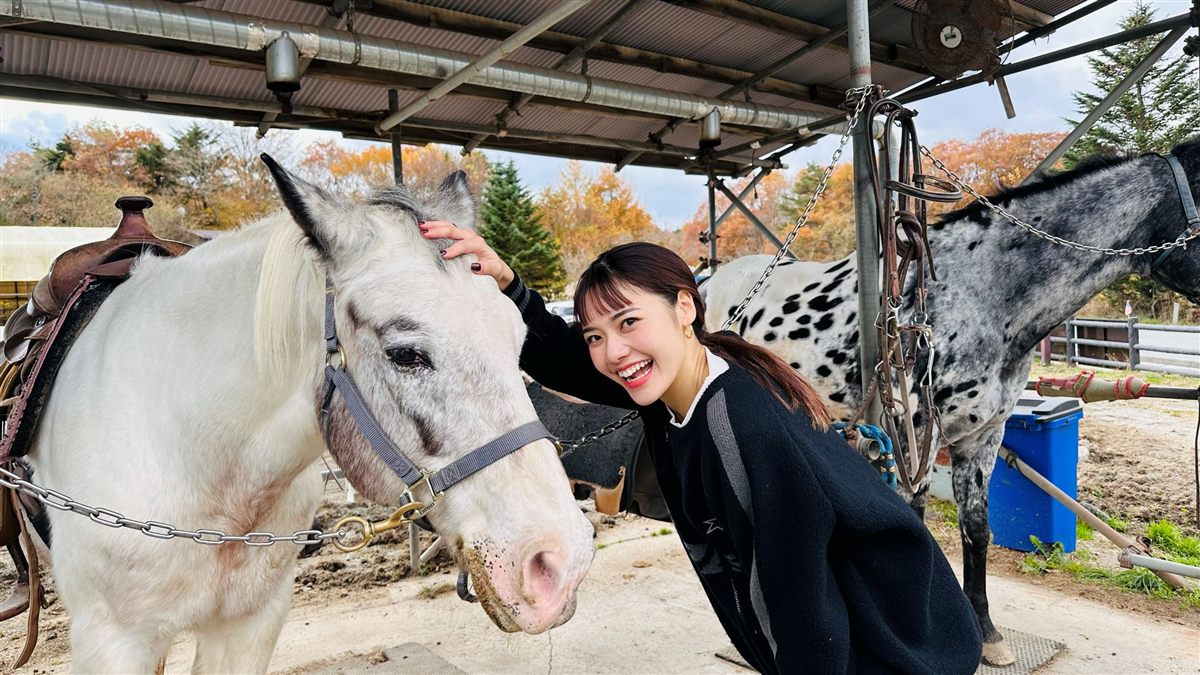 撫摸白馬、笑容滿面的女性